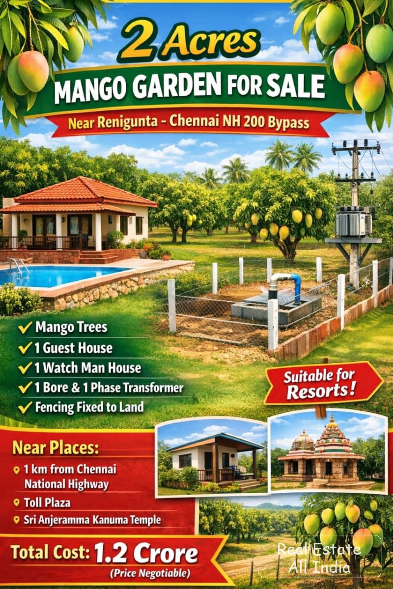 ---  🏡 అమ్మకానికి – 2 ఎకరాల మామిడి తోట   📍 రెనిగుంట – చెన్నై NH 200 బైపాస్ దగ్గర    🌳 ప్రత్యేకతలు - PS0241