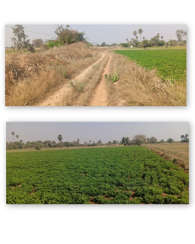 *7 ఎకరాల పొలం అమ్మబడును*   *15 లక్షలు ఎకరం -    నక్ష రోడ్డుకు కలదు ,  *2 బోర్ల ☎️ 9705292651 - PS0324