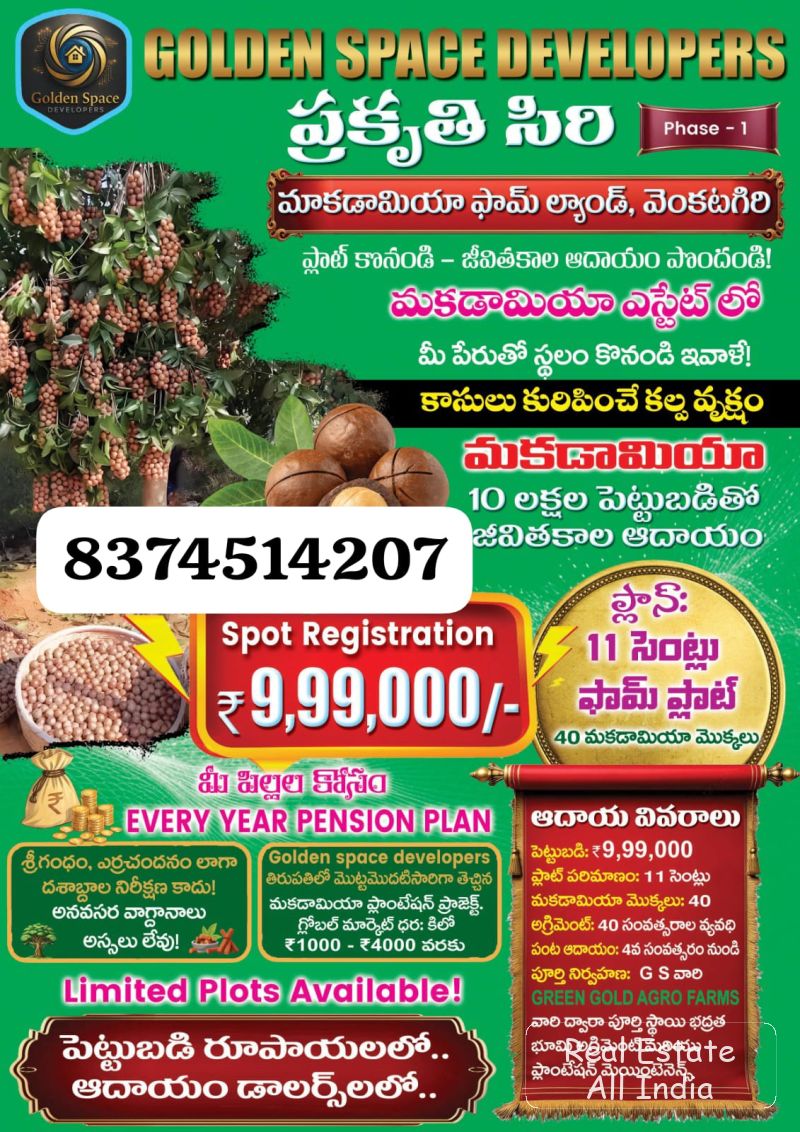 Macadamia dryfruits farm land in venkatagiri - PS0332