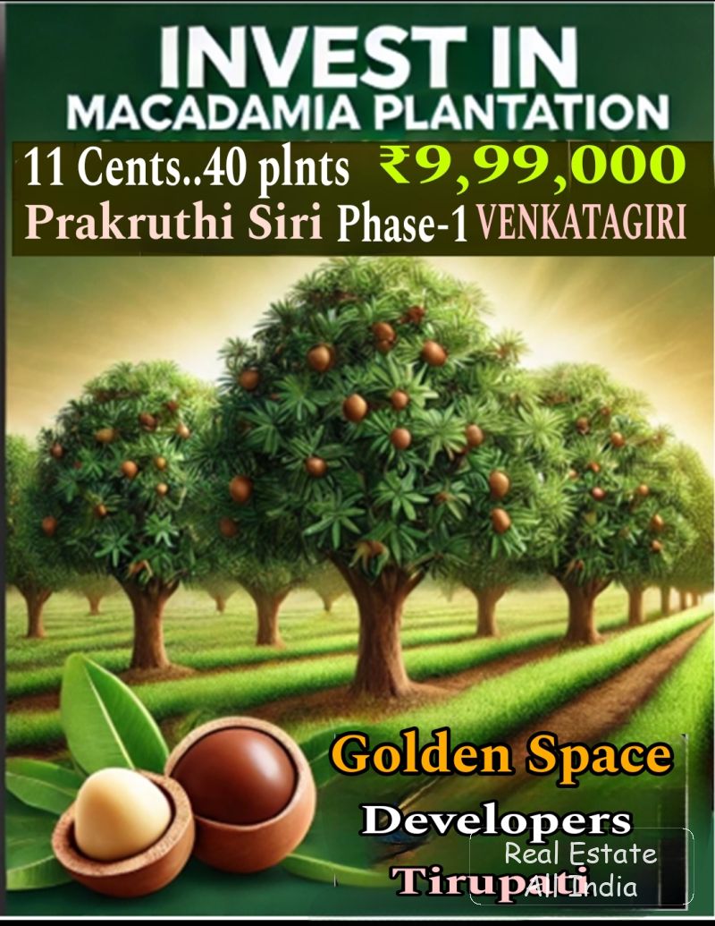 Farm land for sale in venkatagiri - PS0334