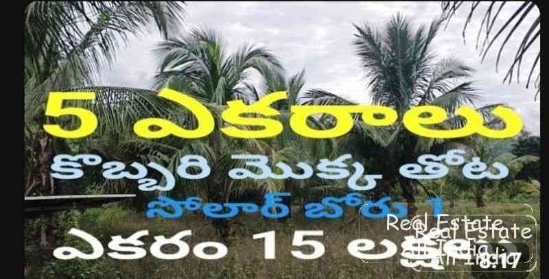 5 Acres కొబ్బరి మొక్క తోట ఎకరం​ 15 లక్షలు సోలార్ బోరు Site for sale  Agriculture land9492341575 - PS0068