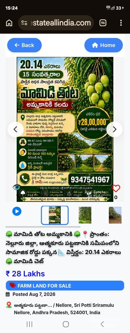 🌳 20 ఎకరాల 15 సంవత్సరాల వయసున్న మామిడి తోట అమ్మకానికి కలదు 👉📍 ప్రాంతం: నెల్లూరు జిల్లా, ఆత్మకూరు పట్టణానికి సమీపంలోనీ శంకరనగరం గ్రామంలో 🌳