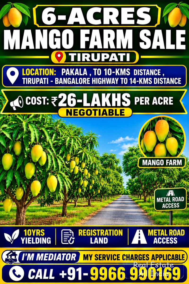 🥭 అమ్మకానికి 6 ఎకరాల మామిడి తోట – తిరుపతి 📍 స్థలం: పాకాల, తిరుపతికి సుమారు 10 కి.మీ. దూరంలో 🛣️ తిరుపతి–బెంగళూరు హైవే: సుమారు 14 కి.మీ. దూరం 🌳 ఆస్త - PS0492
