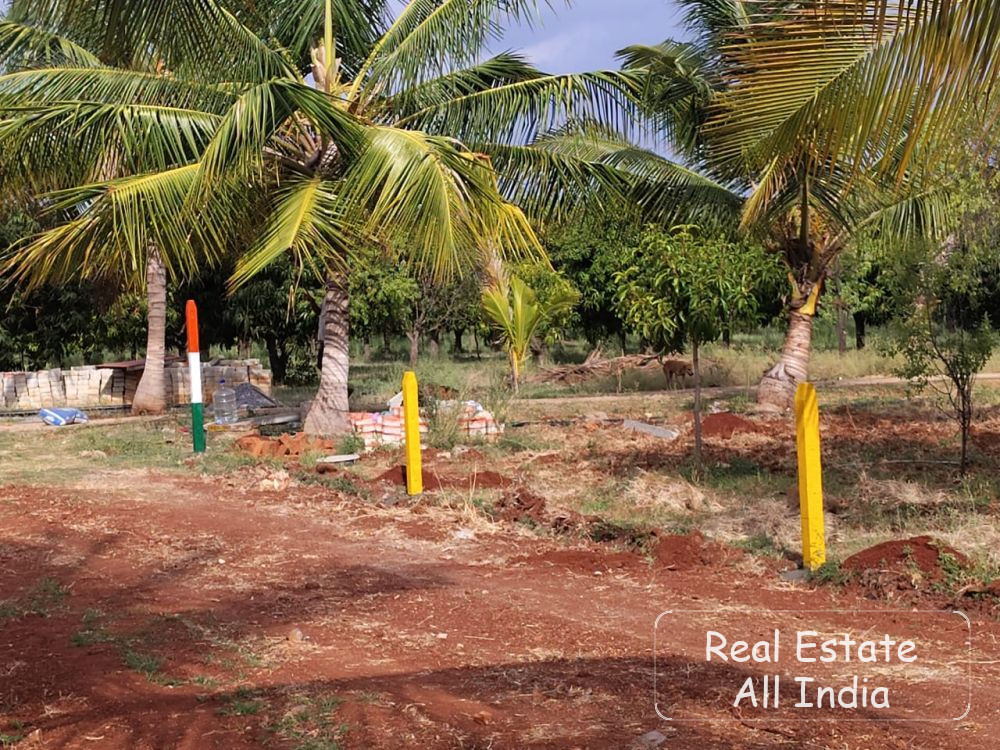 Mine is 17.5 guntas 700x18600 sq ft and fd 5.5 acres is there and one more plot 5.5 guntas r there we all ready sell - PS0540