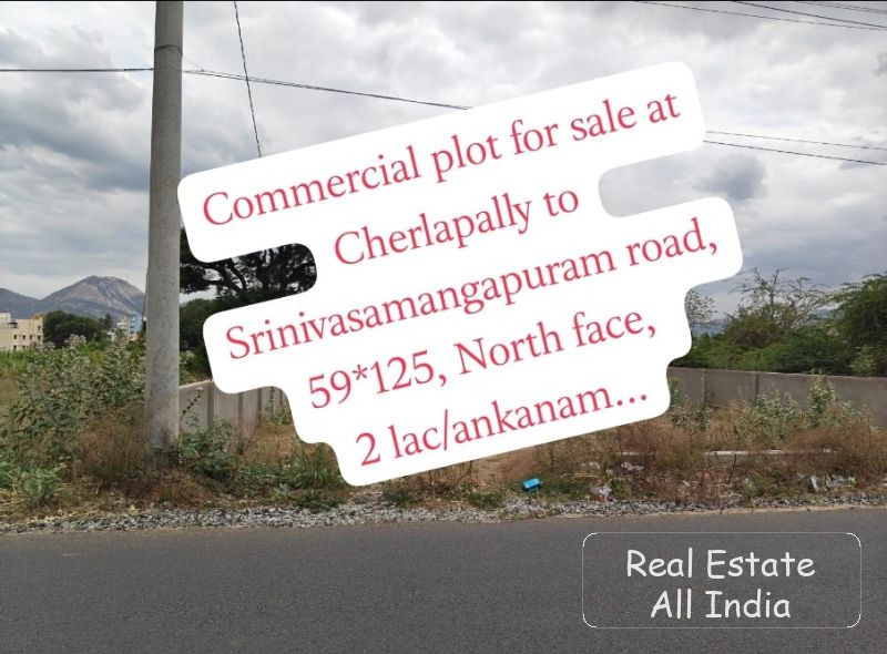 🏢 కమర్షియల్ ప్లాట్ అమ్మకానికి – తిరుపతి 📍 లొకేషన్: చెర్లపల్లి నుంచి శ్రీనివాస మంగాపురం రోడ్ 📐 ప్లాట్ కొలతలు: 59 × 125 అడుగులు 🧭 ఫేసింగ్: ఉత్తరం ము - PS0555