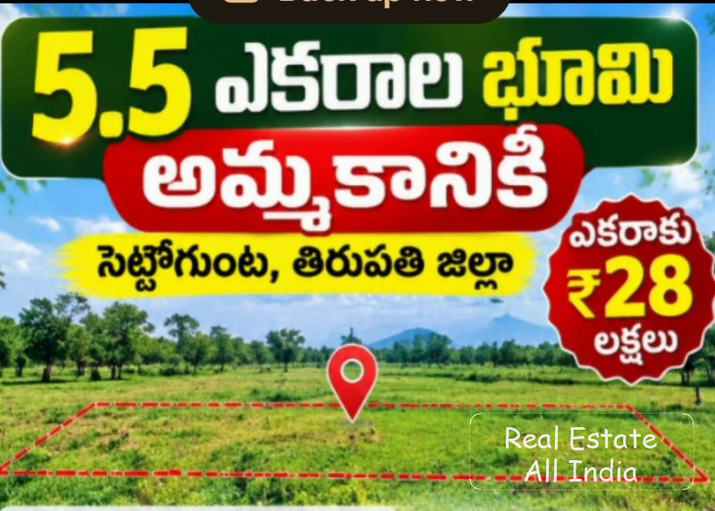 🌿 5.5 ఎకరాల భూమి అమ్మకానికి – సెట్టిగుంట 📍 స్థలం: సెట్టిగుంట, తిరుపతి జిల్లా 📌 గూగుల్ లొకేషన్: Settigunta, Tirupati District 🔹 మొత్తం విస్తీర్ణం: - PS0567