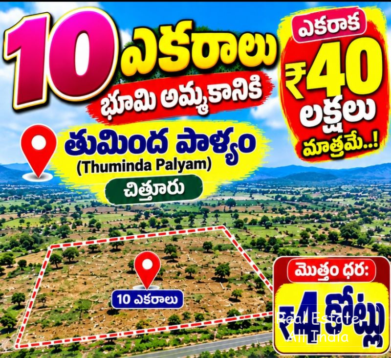 🏞️ చిత్తూరులో 10 ఎకరాల భూమి అమ్మకానికి! 🏞️  💰 ఒక ఎకరం ₹40 లక్షలు మాత్రమే!  📍 ప్రాంతం: తుమింద పాళ్యం, చిత్తూరు  🌾 మొత్తం విస్తీర్ణం: 10 ఎకరాలు  📄 - PS0591